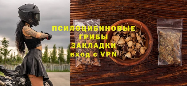 стафф Абинск