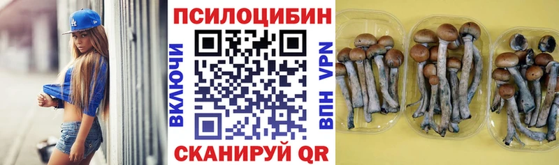 кракен зеркало  Вичуга  Галлюциногенные грибы Magic Shrooms 